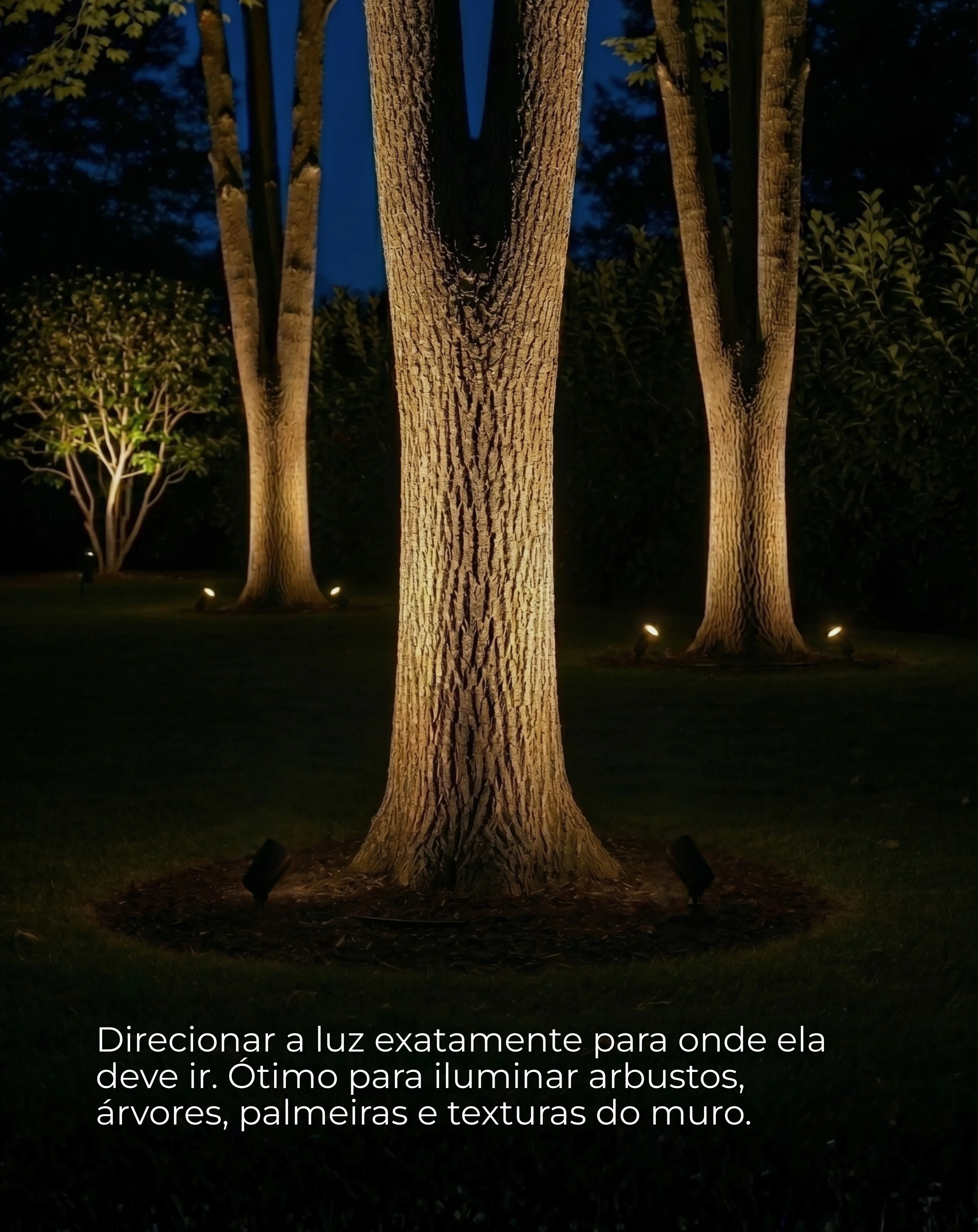 Cada ambiente externo tem uma necessidade — foto 3